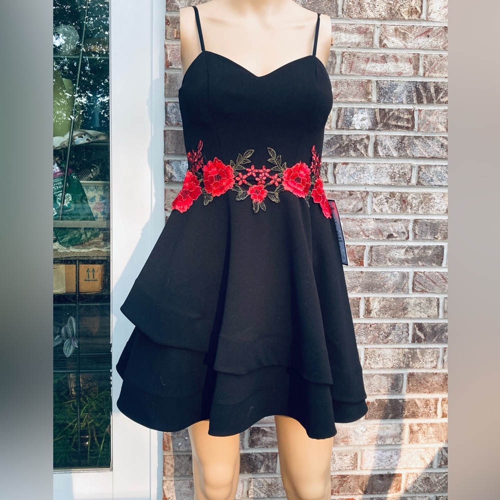 NWTs Black & Red Rose Embroidered Dress